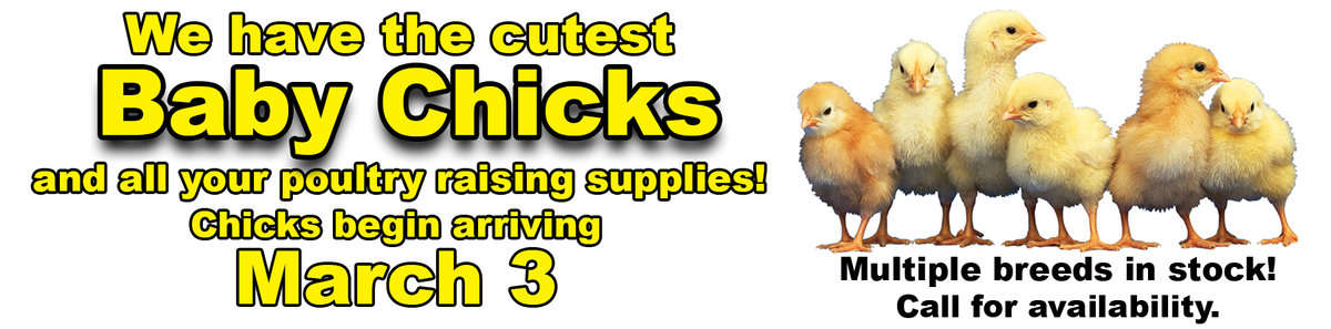 Poulsen Ace Hardware March Red Hot Buys