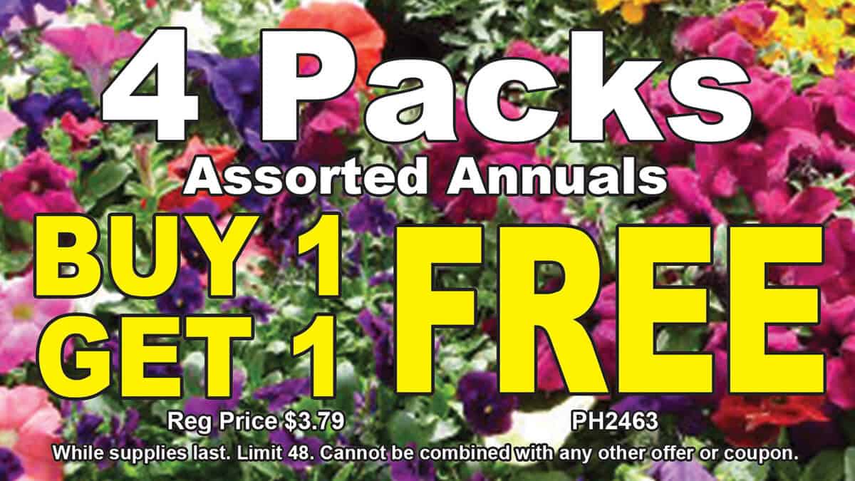 4 Packs BOGO